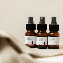 Load image into Gallery viewer, Sea Me Sanitize - Lemongrass & Grapefruit